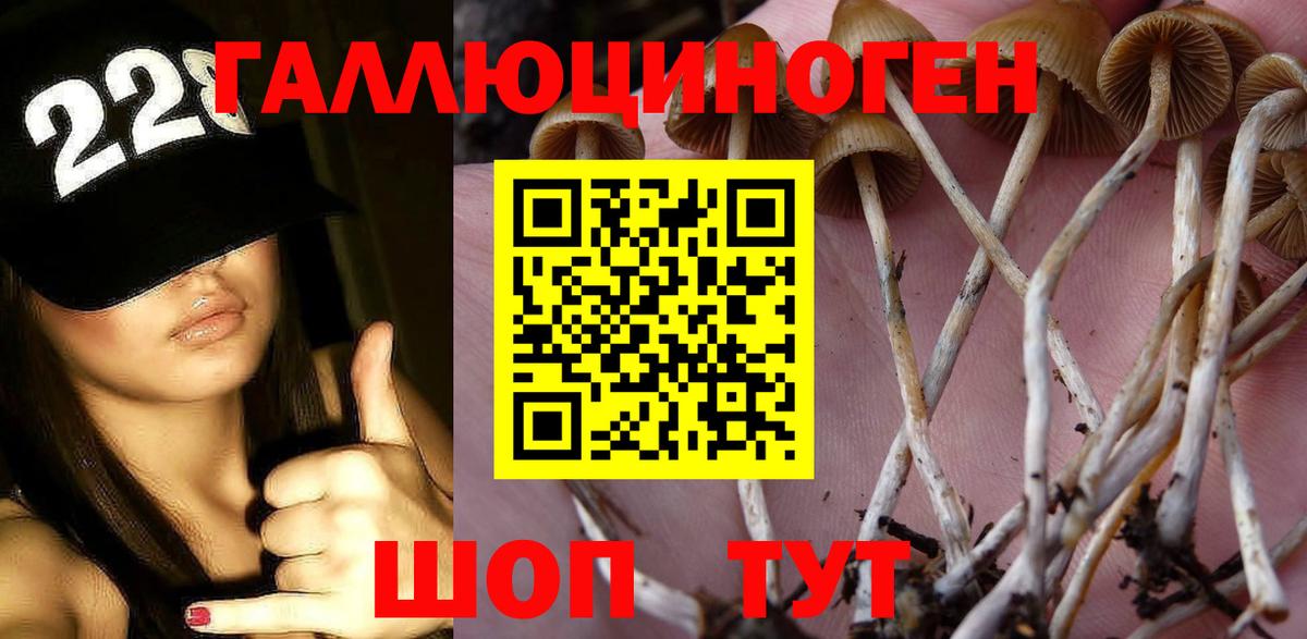Псилоцибиновые грибы GOLDEN TEACHER Губаха